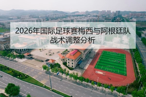 2026年国际足球赛梅西与阿根廷队战术调整分析
